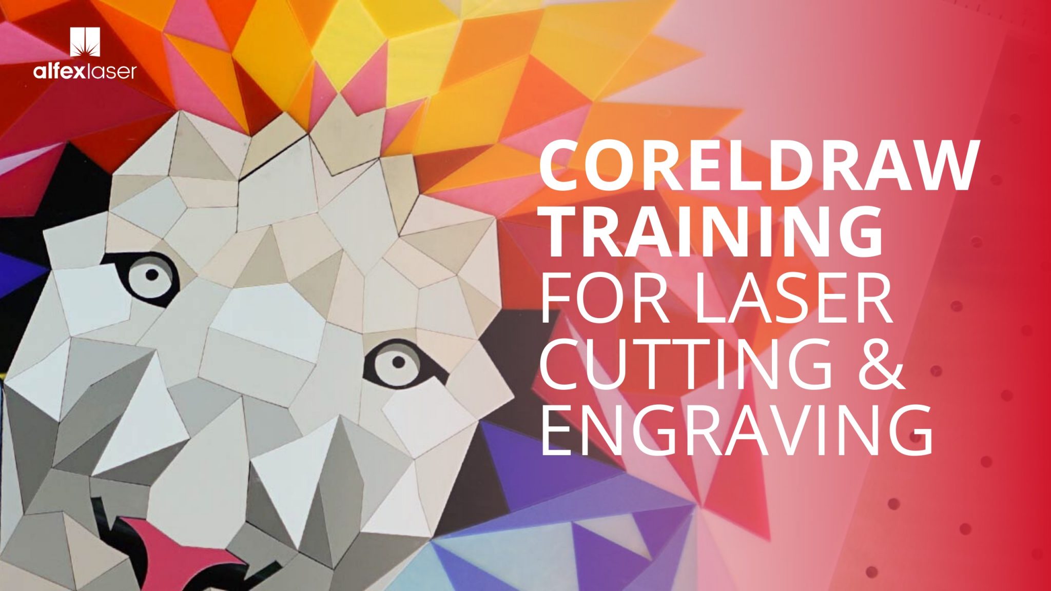 CorelDRAW Training Classes
